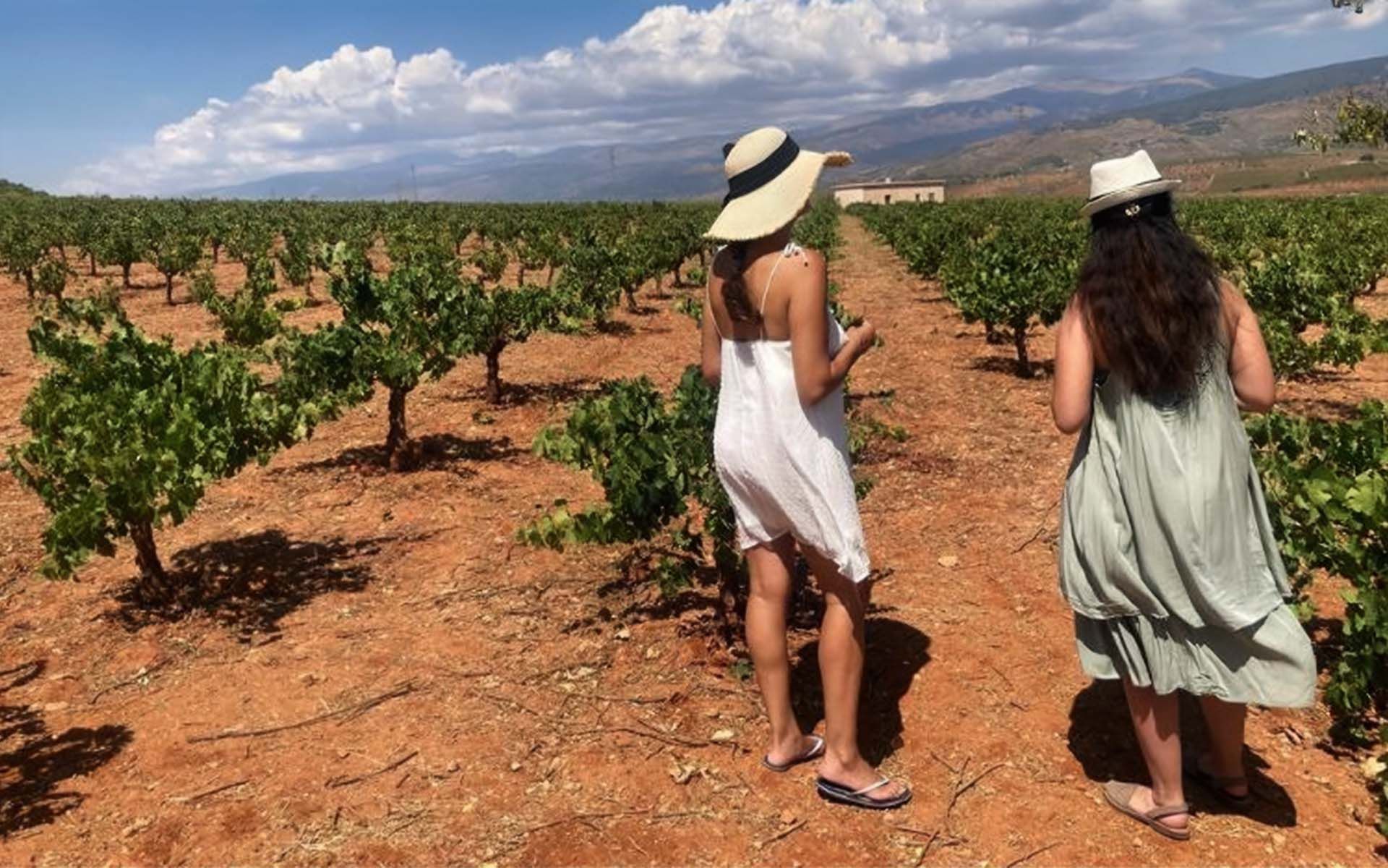 Fluyes y «Cortijo El Cura»: Innovación y bienestar en entornos rurales